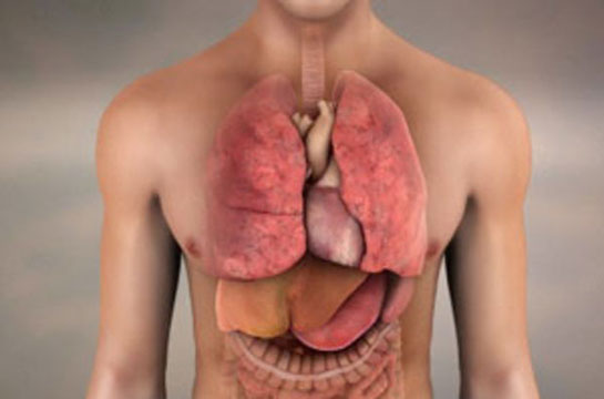 Diyafram Fıtığı Belirtileri ve Tedavisi