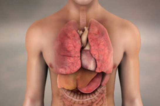 Diyafram Kanseri Belirtileri ve Tedavisi