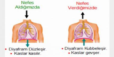 Diyaframdan Konuşma Diyaframdan Konuşma